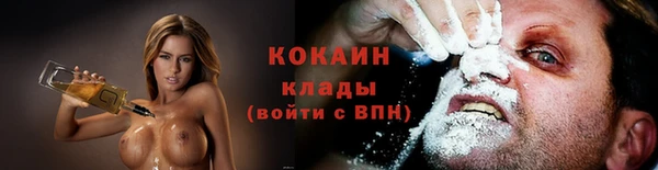 ПСИЛОЦИБИНОВЫЕ ГРИБЫ Нея