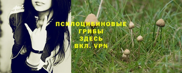дмт Нефтекумск
