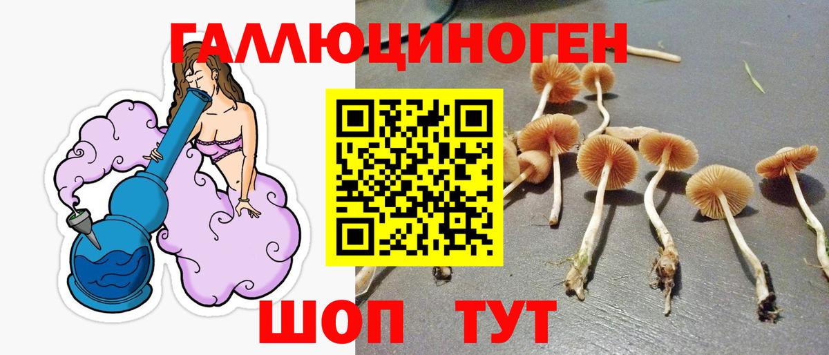 Псилоцибиновые грибы мицелий Барабинск
