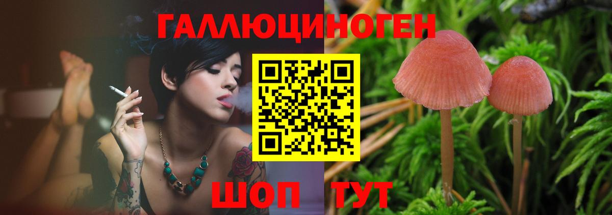 Барабинск  Галлюциногенные грибы GOLDEN TEACHER  Галлюциногенные грибы прущие грибы  Вход с VPN 